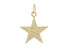 Pave Diamond Star Pendant, (DPM-1296)